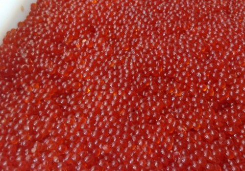 Чавыча рыба икра