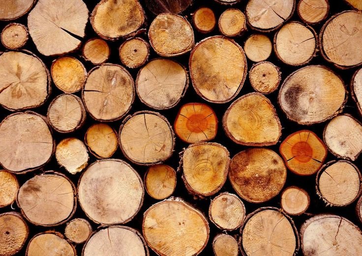 Сруб дерева