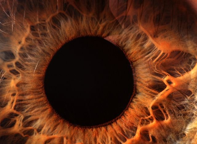 Зрачок макро