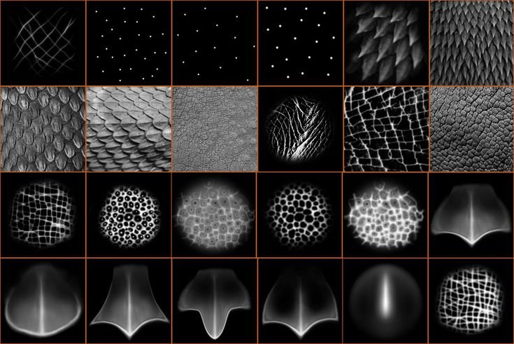 Альфа чешуя Zbrush