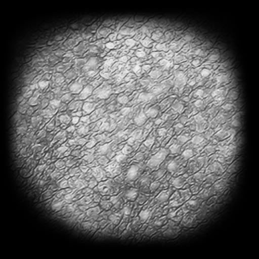 Кожа Zbrush Alpha