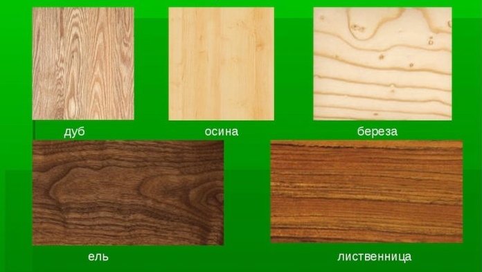 Образцы древесины