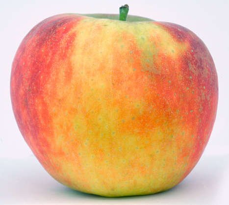 Яблоко кожура текстура