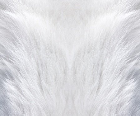 Белый мех