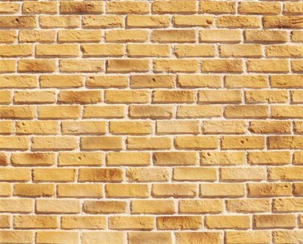 Дикий кирпич