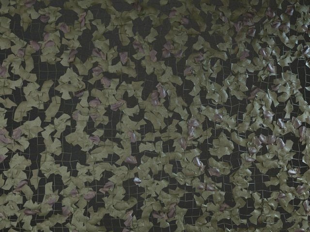 Камуфляж Камо 3д