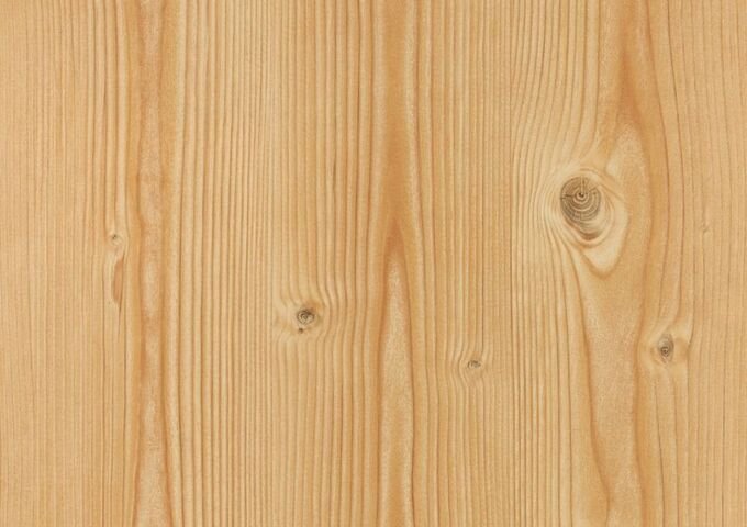 Фактура дерева сосна