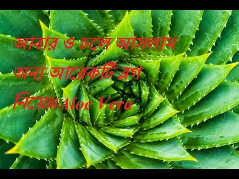 Aloe polyphylla - алоэ спиральное