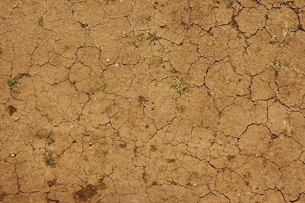 Текстура каменистой земли