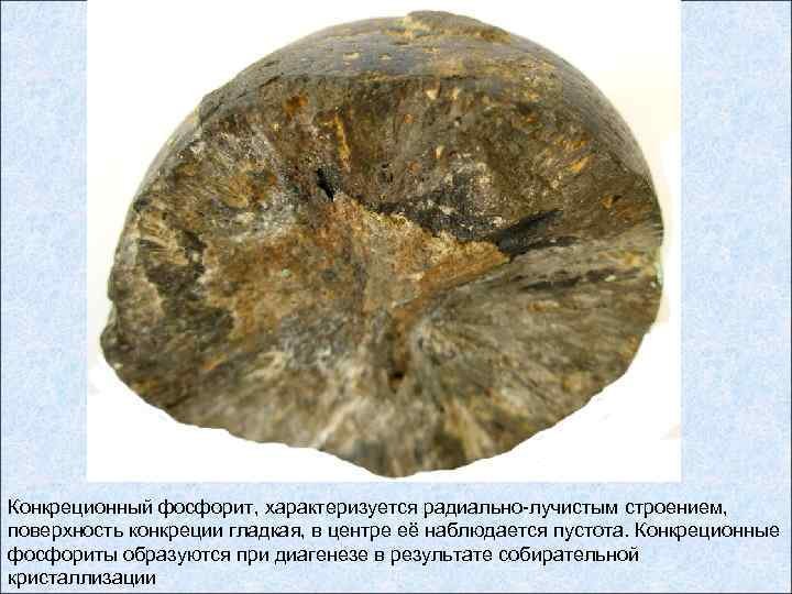 Фосфорит руда