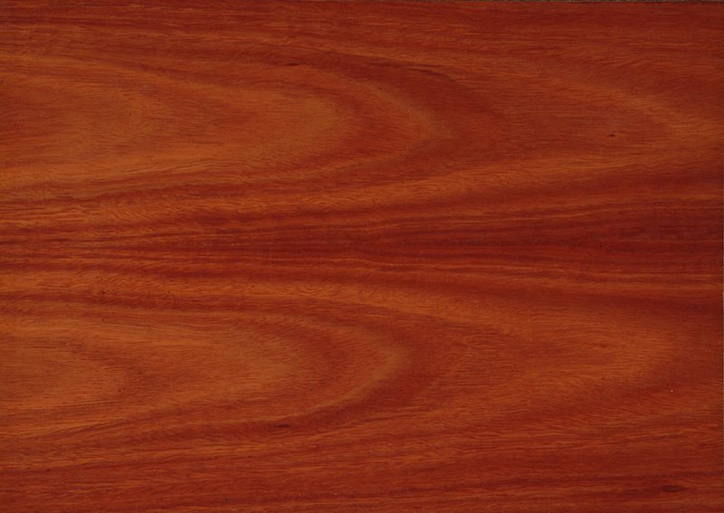 Вишня локарно h1636 st12