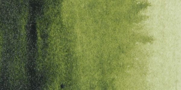 Акварельная текстура травы для генплана