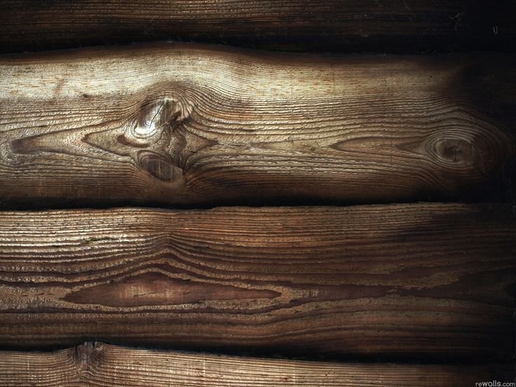 Текстура дерева