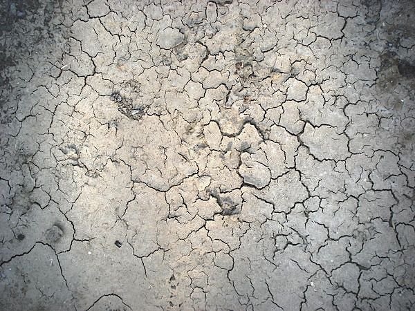 Текстура трещин