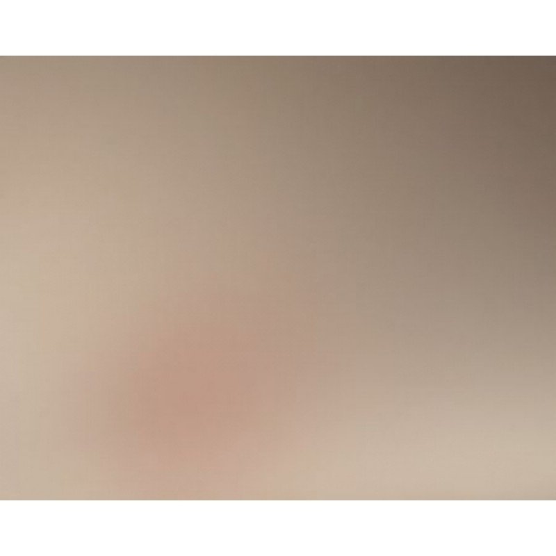 Зеркало бронза AGC