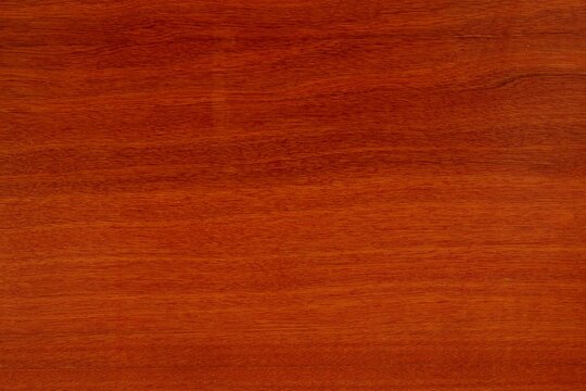 Яблоня локарно ЛДСП