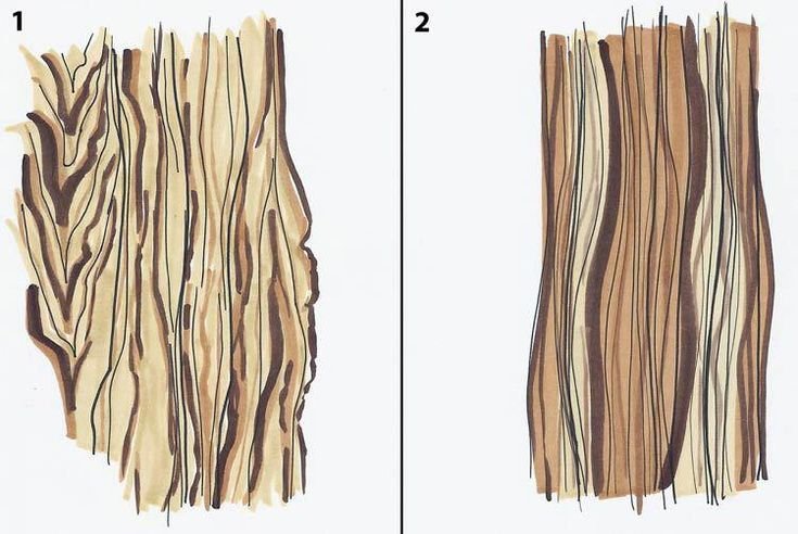 Структура дерева рисунок