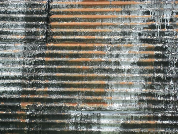 Текстура консервы