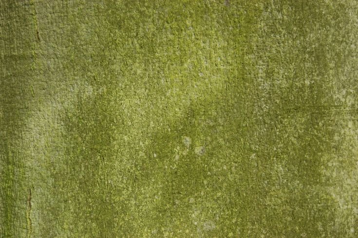 Текстура травы для генплана