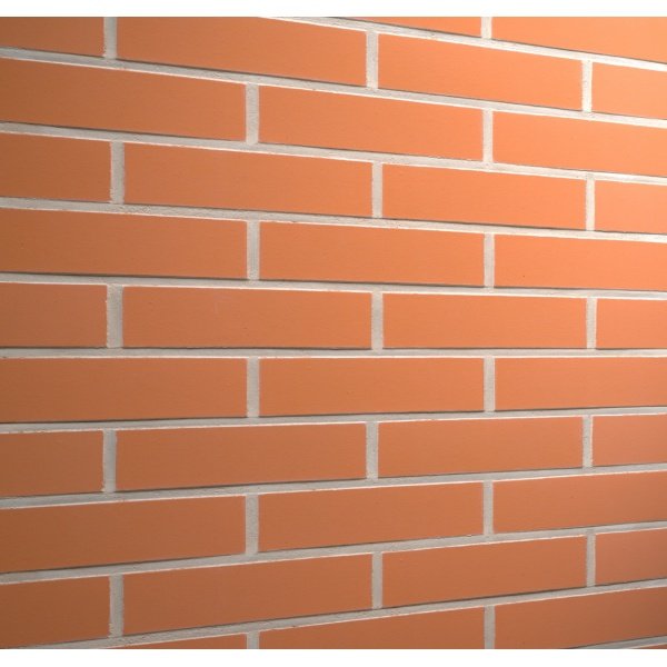 Клинкерная плитка Feldhaus r286nf