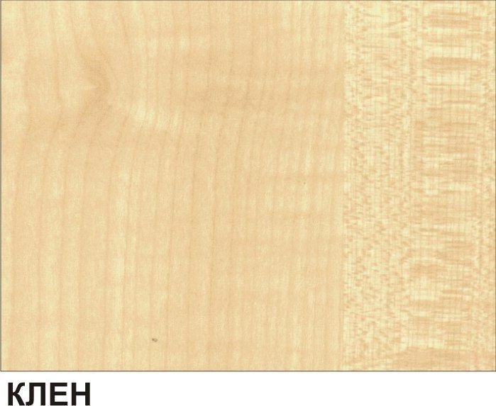 Цвет ЛДСП клен танзай