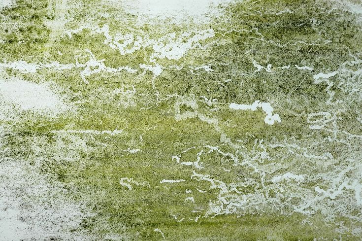 Бесшовная текстура травы для генплана