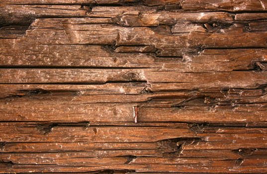 Текстура старого дерева