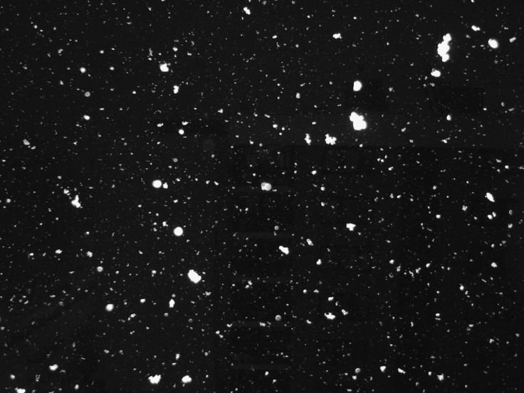 Чёрные очки на белом фоне