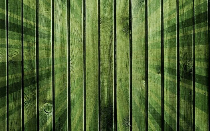 Текстура дерева