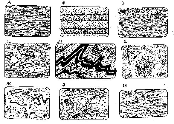 Структуры и текстуры метаморфических пород