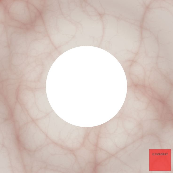 Белок глаза текстура