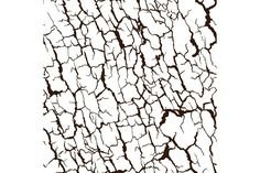 кора дерева белая