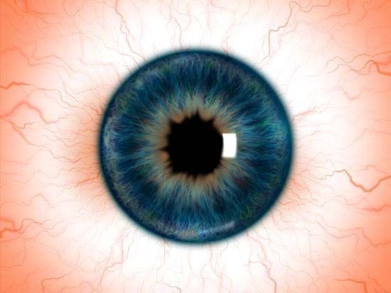Текстура Радужки глаза