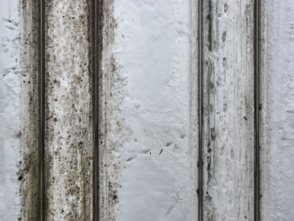 заснеженная дорога