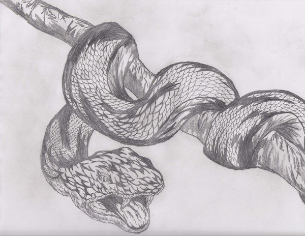 Рисование змеи