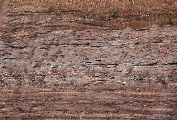 Срез грунта