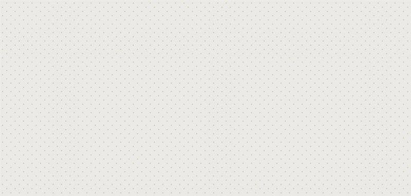 Защитная сетка для удостоверений