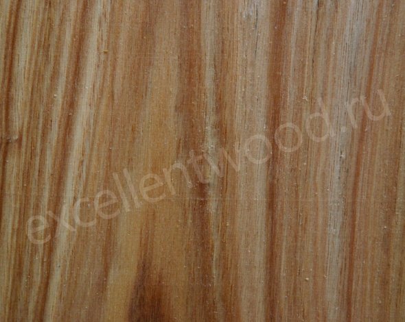 Шпон ясень олива