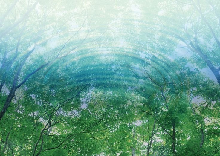 Фоновое изображение