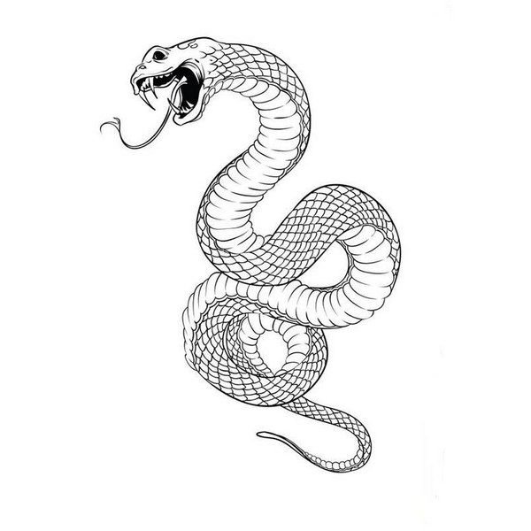 Змея эскиз