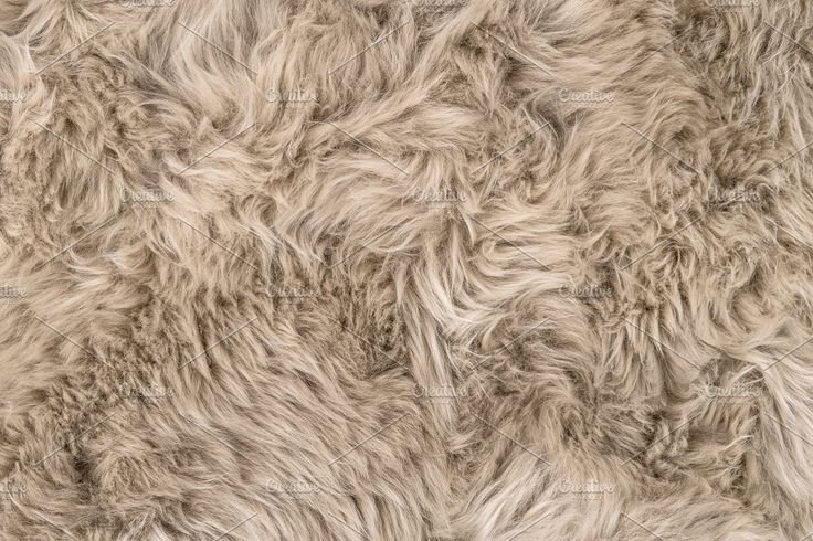 Мех овцы