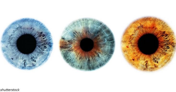 Красивые Радужки глаз