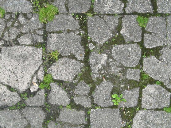 Каменная плитка с травой