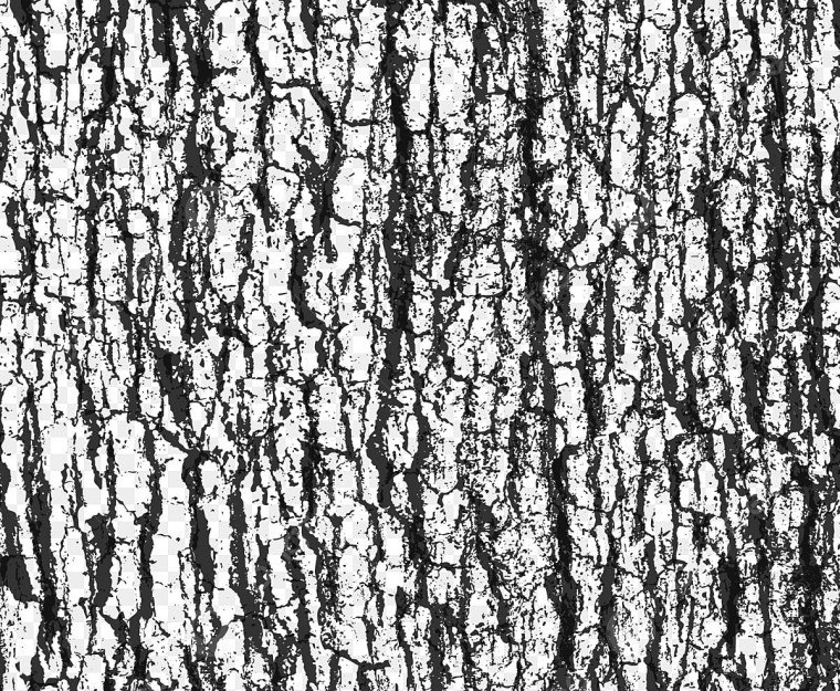 грубая дерева