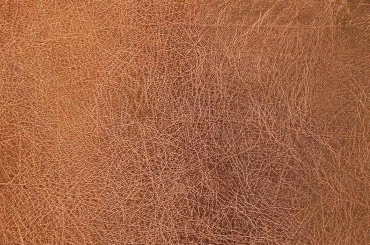 Текстура кожи