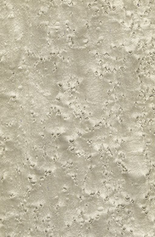 Шпон клен птичий глаз