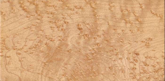 шпон птичий глаз