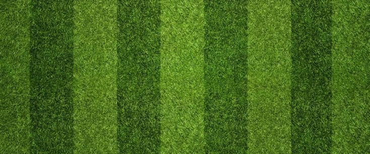 Футбольный газон