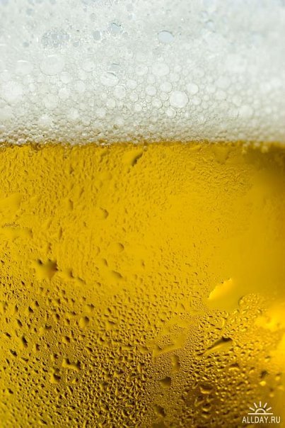 Пивная пена