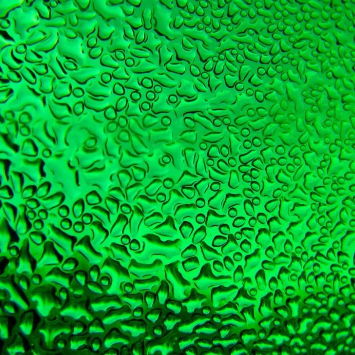 Кислотно зеленый цвет